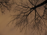 IMG_2765.JPG