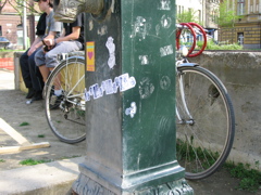 IMG_2987.JPG
